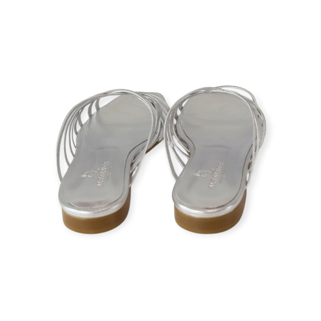 FLAT SPIDER ARGENTO