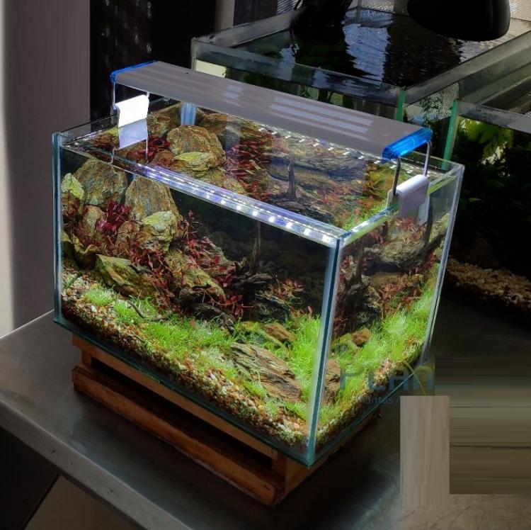 Plafoniera Led Luce Bianca Blu Lampada Per Acquario Barra Da 60 A 70Cm Slim D143