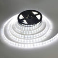 Striscia Led Smd 5050 5 Metri 12V Ip66 Adesiva Bobina Led Flessibile B. Freddo