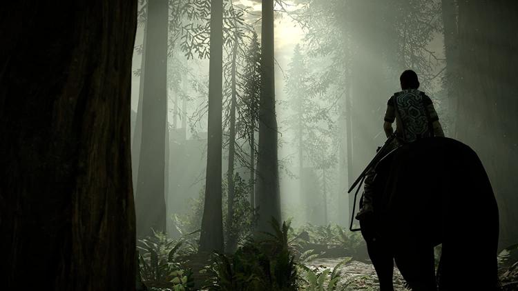 Shadow Of The Colossus Ps4 Gioco Italiano Esclusiva Playstation 4 Nuovo