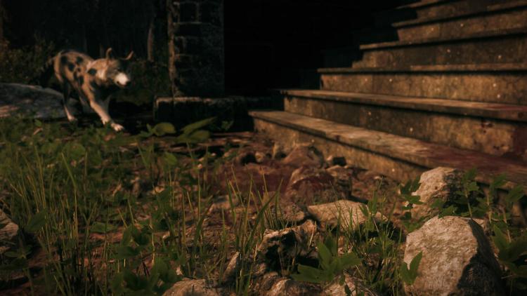 Maid Of Sker Ps4 Gioco Horror Playstation 4 Videogioco Italiano Eu Nuovo Up Ps5