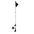 Brizza Bastoni Nordic Walking Grigio 9052 – Telescopici Alluminio Unisex