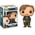 FUNKO POP ! - REMUS LUPIN - (45) HARRY POTTER - STATUETTA VINYL FIGURE 9CM