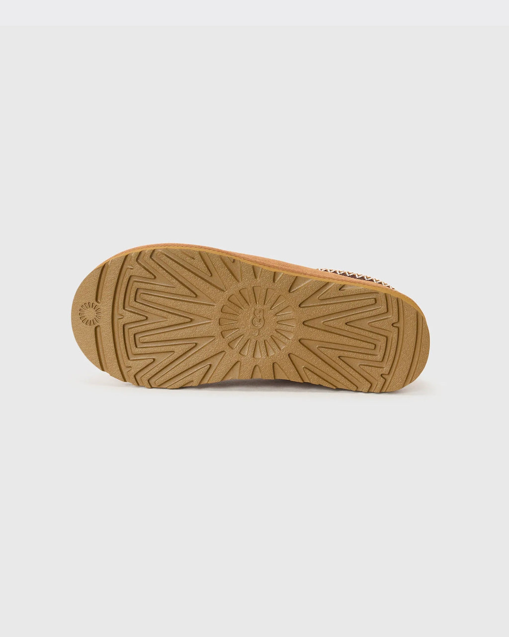 Ciabatta M Tasman II Chestnut