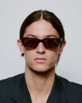 Occhiale da Sole Bror Brown/Demi Light Brown Transparent