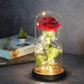 CAMPANA CUPOLA CON ROSA ETERNA LUCE LED BELLA E LA BESTIA NATALIZIA LUCE CALDA