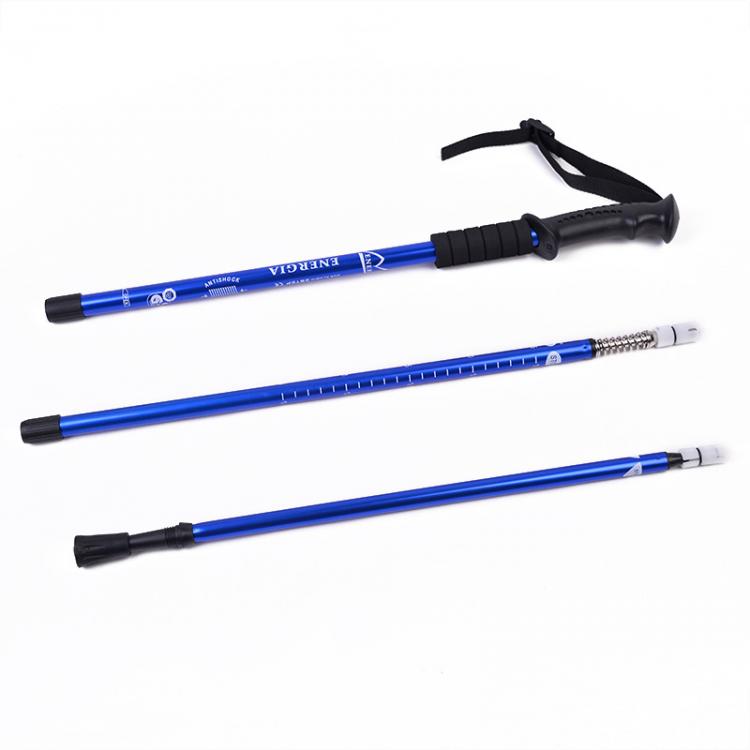 COPPIA 2pz BASTONI DA TREKKING TELESCOPICO REGOLABILE ESCURSIONI PASSEGO BLU