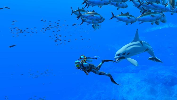 Endless Ocean Luminous Nintendo Switch Gioco Italiano Nuovo Videogioco Sigillato