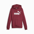 Puma felpa da ragazzi con cappuccio e stampa logo grande Ess 587031-22 diaspro scuro
