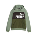 Puma felpa con cappuccio da ragazzo Block 849081-44 eucalipto