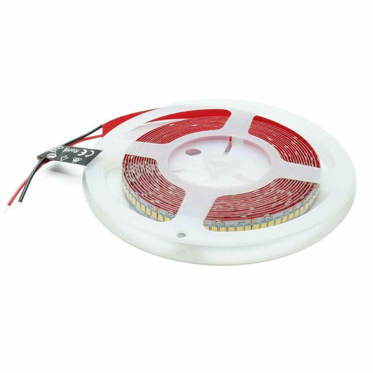 Strip 5M Striscia 600 Led 2835 61W 24V Bobina 5 Mt Biadesiva | Luce Fredda 6500K