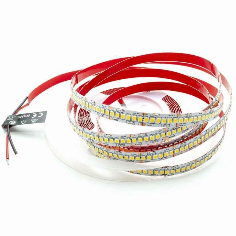 Strip 5M Striscia 600 Led 2835 61W 24V Bobina 5 Mt Biadesiva | Luce Fredda 6500K