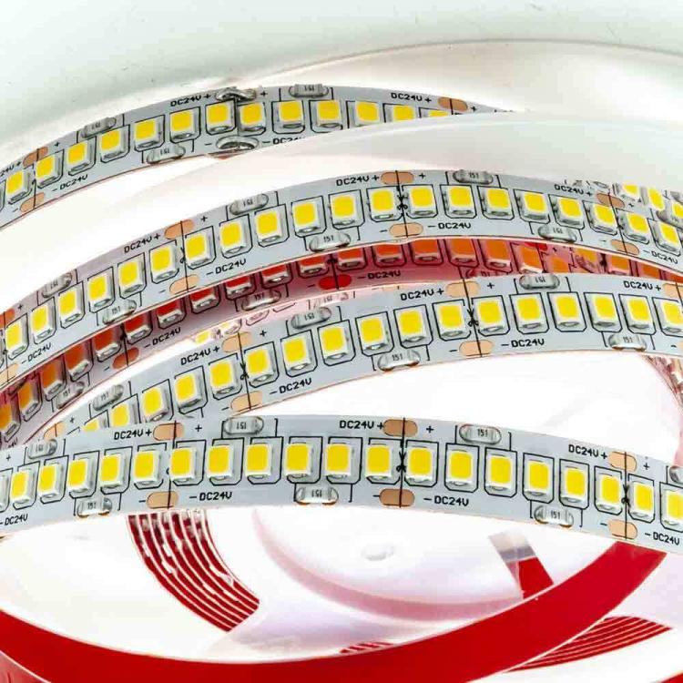 Strip 5M Striscia 600 Led 2835 61W 24V Bobina 5 Mt Biadesiva | Luce Fredda 6500K