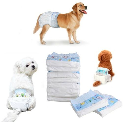 Pannolini Per Cane Polimeri Assorbenti Igienici Mutandina Ciclo Cani Gatti Tg-Xs