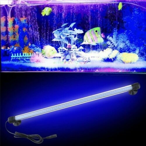 Barra Led Lampada Neon Per Acquario Impermeabile Immersione Luce BLU 30CM