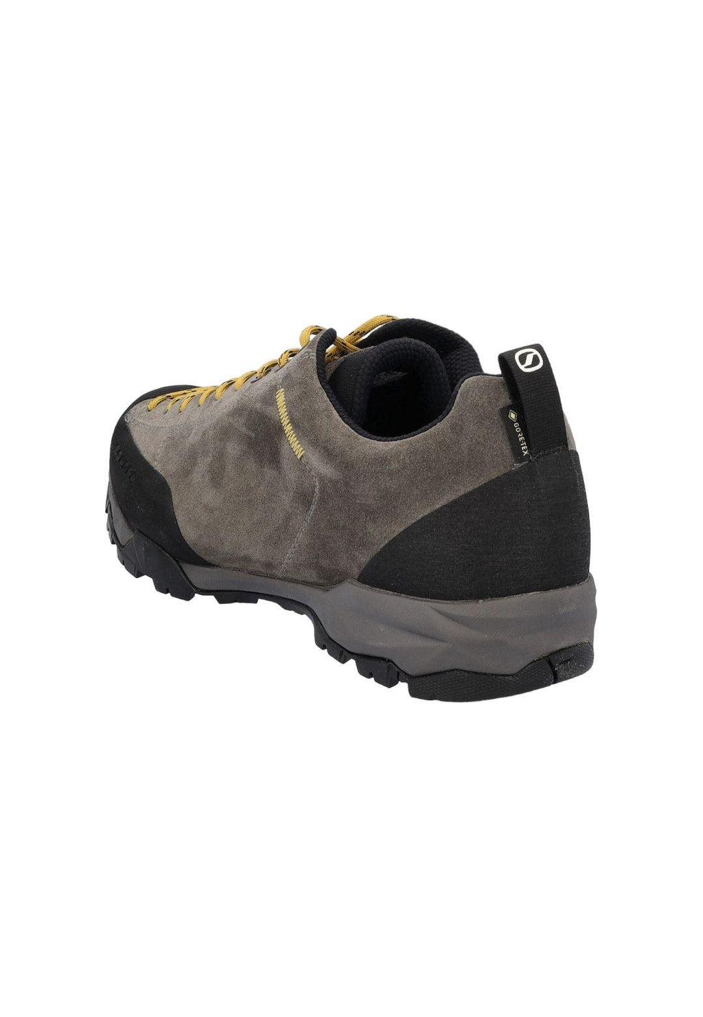 Scarpe Mojito Trail GTX Uomo Titanium/Mustard