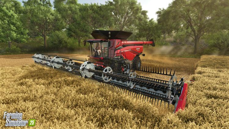 Farming Simulator 25 "Collector'S Edition" (Pc) Videogioco Dvd Pal Italiano